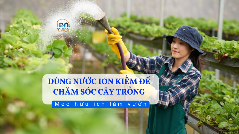 Dùng Nước Ion Kiềm Chăm Sóc Cây Trồng - Mẹo Hữu Ích Làm Vườn